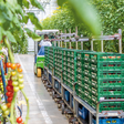 GreenCoop